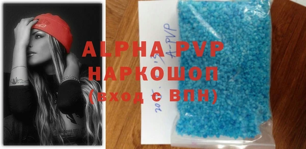 хмурый Магас