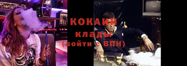 молекула духа Майский