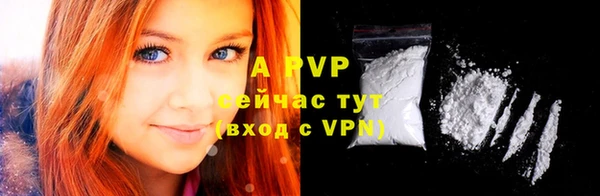 хмурый Магас