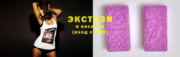 хмурый Магас