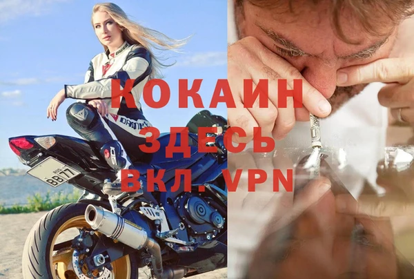 хмурый Магас