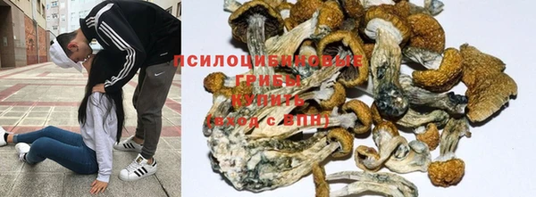 соль ск Магадан