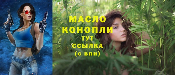 молекула духа Майский