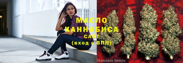 хмурый Магас