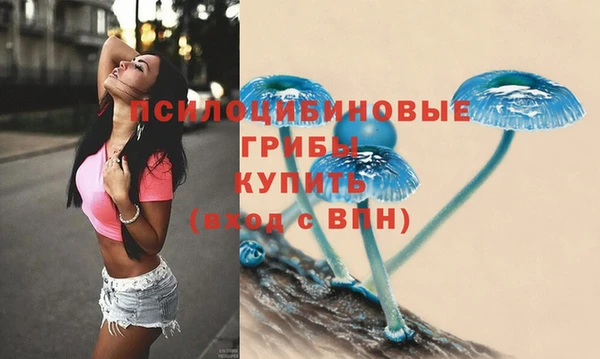 хмурый Магас