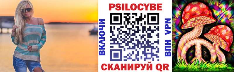 наркошоп  Щучье  Галлюциногенные грибы GOLDEN TEACHER 